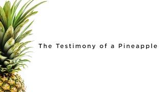 The Testimony of a Pineapple