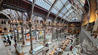 Jurassic Park? | Oxford University Museum of Natural History 