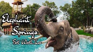 The Brand New! Elephant Springs | Fort Worth Zoo | Ep. 22