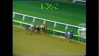 1979 Meadowlands Cup - Spectacular Bid