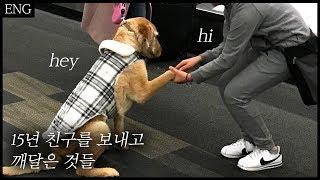 [Eng]15년 친구를 떠나 보내고 깨달은 것