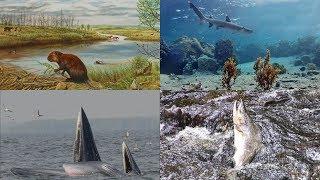 Destructive Hippos, Chatty Whales, and More: 60 Second Science Podcasts