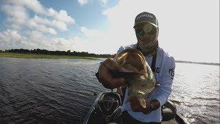 Lake Toho Bass Fishing | Keep it Simple