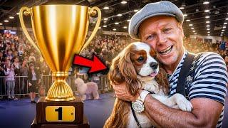 The best dog for home and children!! LET'S TAKE LUKE TO THE DOG OSCAR!! DOG SHOW 2024