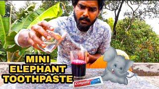 Mini Elephant Tooth Paste Experiment || Abhi tech