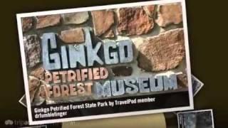 Wild Horses Monument & Gingko Petrified Forest by TripAdvisorTRIPWOWu