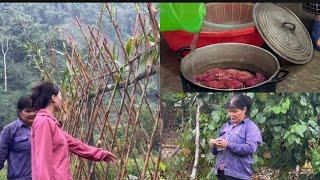 Today I went to pick vegetables for the pigs and found some potatoes to make cakes.Tieu phuong tam