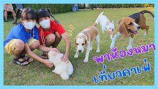 YimYamFamily | พาน้องหมาเที่ยวคาเฟ่