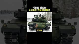 북유럽 감성의 한국 무기들 ㅋㅋ