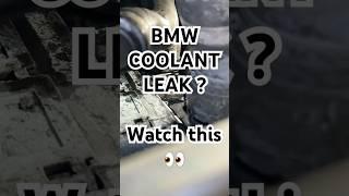Is your BMW leaking coolant ? (Watch This) 