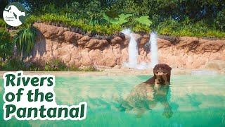 Deep Diving With Giant Otters | Houston Zoo Recreation Ep.23 | Planet Zoo