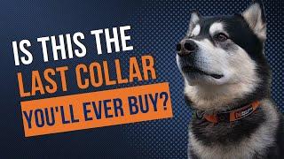 Non-Stop Dogwear Cruise Collar Review