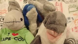 Meet the Bloop Patrol