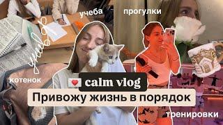 *vlog*  написала курсовую, учеба на 3 курсе // ДНЕВНИК СТУДЕНТКИ , моя рутина, будни в Москве