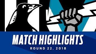 Collingwood v Port Adelaide Highlights | Round 22, 2018 | AFL