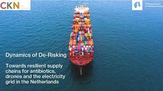 Dynamics of De-Risking | Explainer Video
