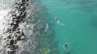 Island Buzz Tours Nevis - Sea Scooter Snorkeling Tour Adventure Nevis
