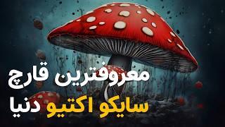 درباره معروفترین  قارچ روانگردان دنیا چه میدانیم؟