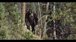 The Clearest Sasquatch Photo Ever | Hunter Gets UP CLOSE Shot Of GIANT BIGFOOT | #bigfoot 2024