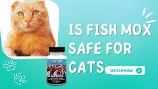 Is Fish Mox Safe For Cats?