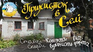 Прихисток в селі/Скарби стайні/Піч виживання/Котяча вдячність