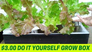 How To Make A Grow Box On A Budget | DIY Cheap Grow Box | DIY Hydroponics | Kratky Method