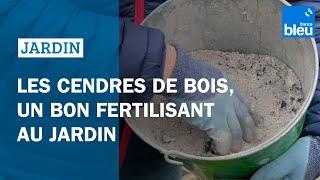 Les cendres de bois, un bon fertilisant au jardin