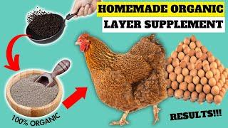 CURE POOR EGG LAYING USING THIS ORGANIC HOMEMADE SUPPLEMENT | Best Organic Egg Booster