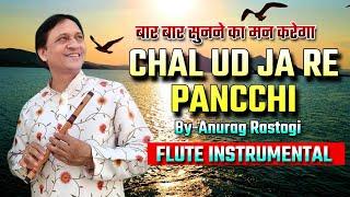 Chal Ud Ja Re Pancchi flute l ANURAG RASTOGI | Old Song Flute