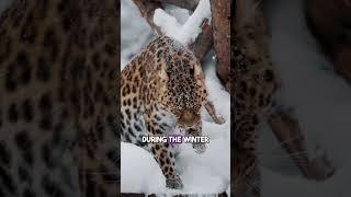 8 Fascinating Animal Facts That Will Make You Question Reality!