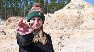 Montbrook Fossil Dig 2022: Florida Teachers Visit