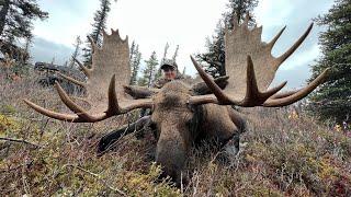 My Alaskan Moose Hunt:5 Days Of Pure Adventure!!