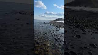 Мудрости жизни #мирживотных #сахалин #nature #охота #travel #лес #sunset #ocean #beach #cat