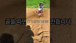 배추 무 밭 만들기 참 쉽죵, 이쁜 밭입니다