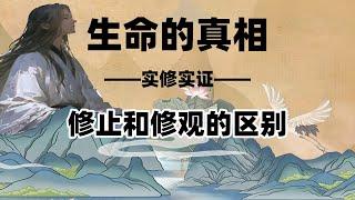 实修实证：止观修炼如何让你超越时空限制？三摩地的真相被 99% 的人忽略