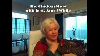 The Chicken Show with Ann J White