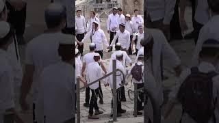 Israeli settlers assault Palestinian man near Damascus gate in Jerusalem