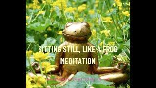 Sitting still, like a frog meditation narrated by Katarina Tilley | Living in the Light