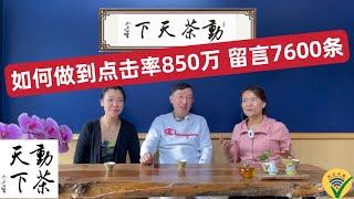 如何做到点击率850万 提高点击量（动茶天下39）2022