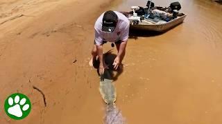 Australian Couple Saves Mystery Creature From Net