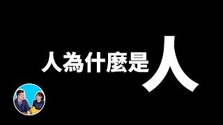 人為什麼是人，人類最不可思議的六個特征 | 老高與小茉 Mr & Mrs Gao