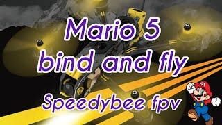 The new SPEEDYBEE Mario 5 bind and fly - watch before you buy