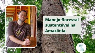 Manejo florestal sustentável na Amazônia.