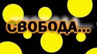 Dj Boyko and Sound Shocking - Kazantipa.net (DVJ KiM Video)