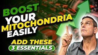 Boost Your Mitochondria Easily  Add These 3 Essentials