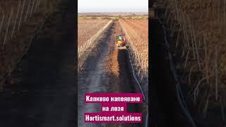 Drip Irrigation Vineyards Hortismart Solutions #drip #irrigation #капково #напояване #лозя