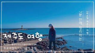 7분만에 정리하는 제주 3박4일 여행(에코랜드, 월정리, 우도, 카멜리아힐, 큰돈가, 트로피컬하이드어웨이 호텔)