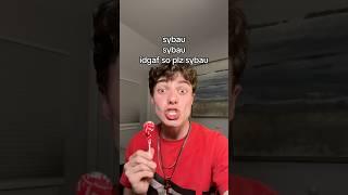 icl ts pmo fr sybau 