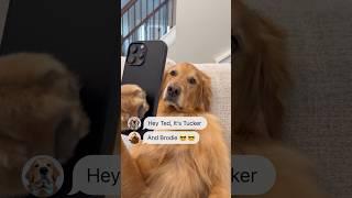 My dog texted @TuckerBudzyn and @BrodieThatDood !