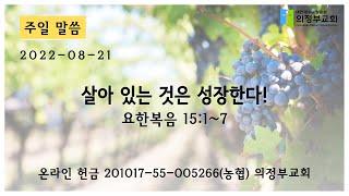 2022-08-21┃살아 있는 것은 성장한다(요 15:1-7)┃주일 11시 예배┃의정부 교회